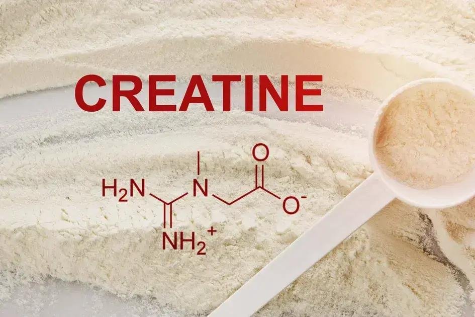 Qual a melhor Creatina para Idosos?